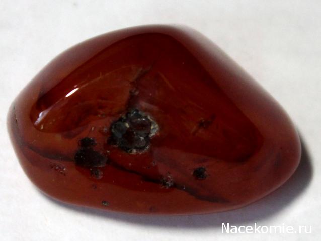 Минералы Сокровища Земли №96 - Сердолик