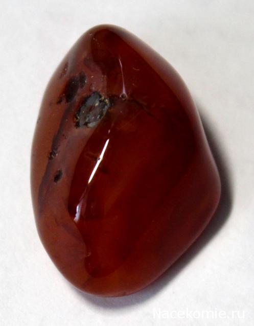 Минералы Сокровища Земли №96 - Сердолик