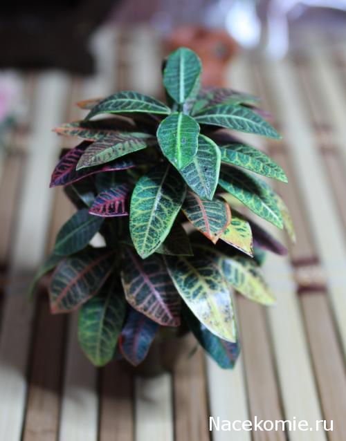 Игра "КУВШИН"