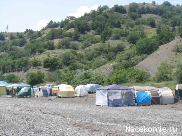 Дом Мечты Болталка: перезагрузка