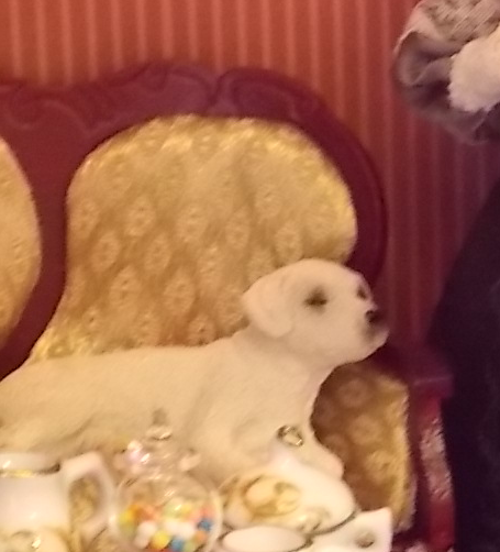 Игра "КУВШИН"