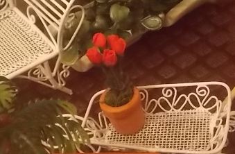 Игра "КУВШИН"