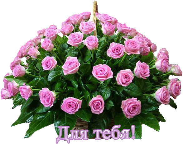 Paranoya - мой скромный домик