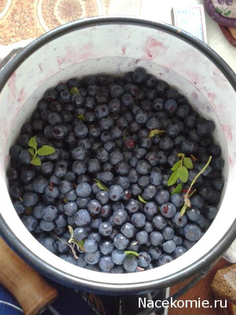 Annushka84 - Домик для медведей и кое-что еще