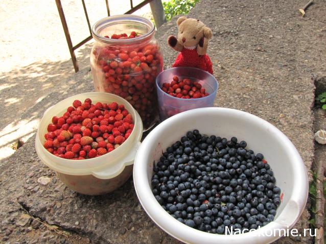 Annushka84 - Домик для медведей и кое-что еще