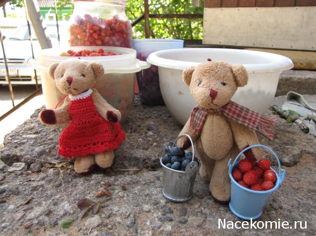 Annushka84 - Домик для медведей и кое-что еще