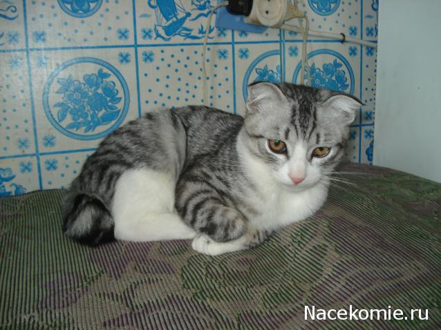 Дамы эпохи №112 - Анжелика