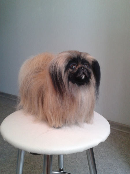 Миниатюрные чудеса и интересности