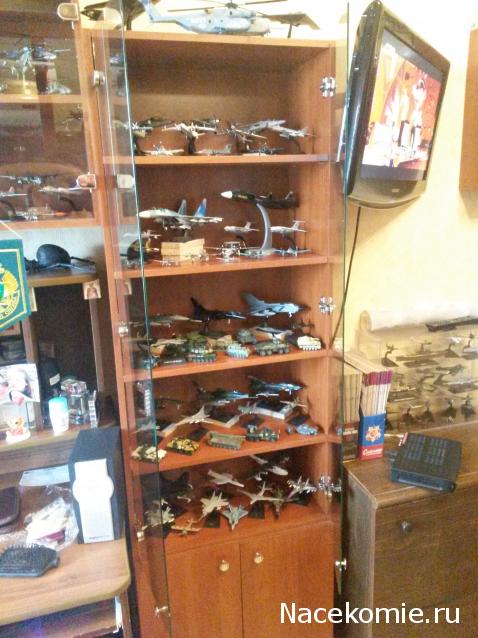 Условия хранения вашей коллекции