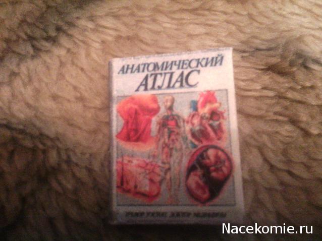 Игра "КУВШИН"