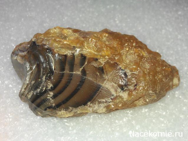 Минералы Сокровища Земли №96 - Сердолик