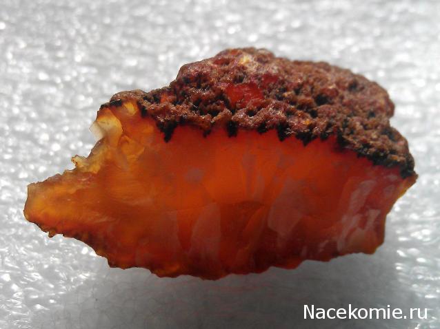 Минералы Сокровища Земли №96 - Сердолик