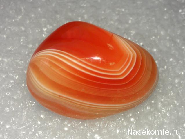 Минералы Сокровища Земли №96 - Сердолик