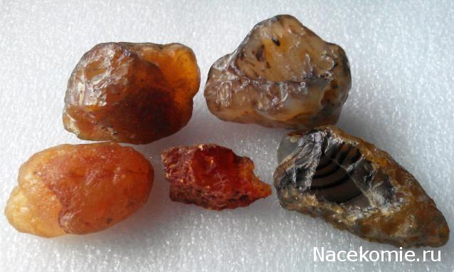 Минералы Сокровища Земли №96 - Сердолик