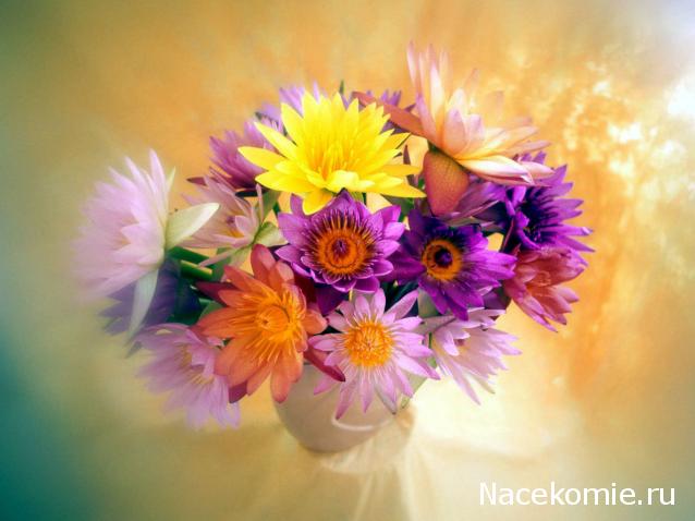 Наши Дни Рождения