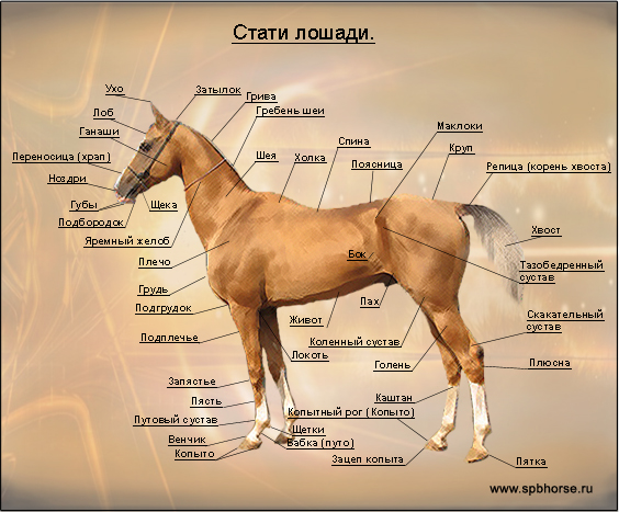 Конверсия, ремонт миниатюр.
