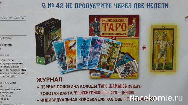 Энциклопедия Таро №41 – Таро Языческих Кошек (вторая половина) + Золотая карта 9 Кубков