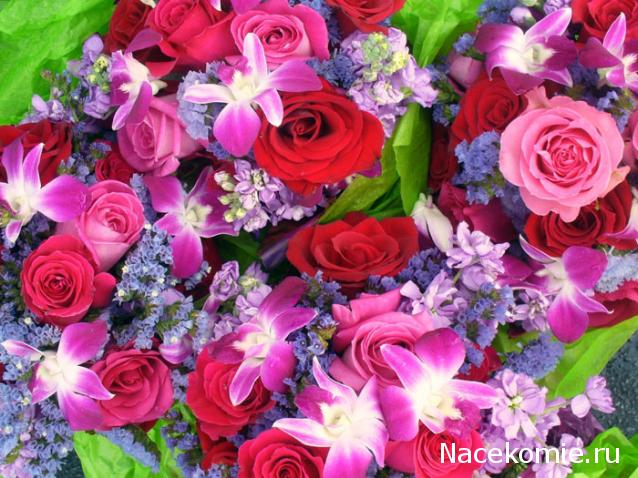 Paranoya - мой скромный домик