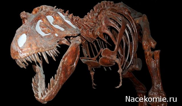 Тестовая серия