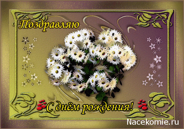 Дом Мечты наши дни рождения