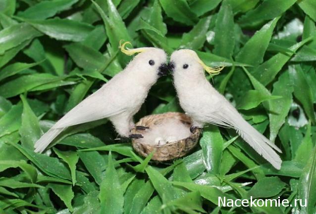 Игра "КУВШИН"