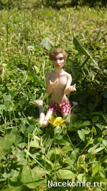 Sashka23 - Дом для реаликов или вечная переделка!