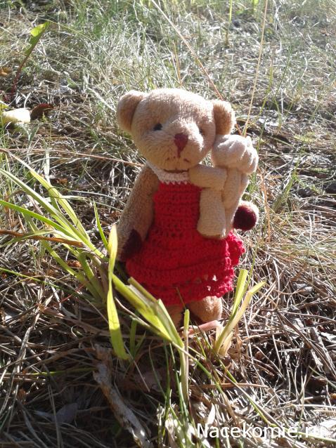 Annushka84 - Домик для медведей и кое-что еще