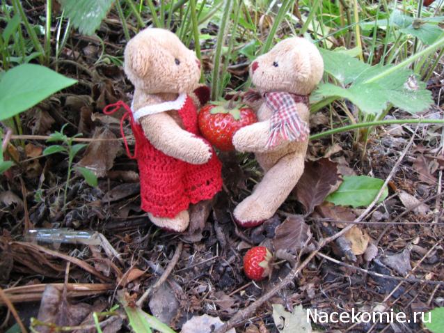 Annushka84 - Домик для медведей и кое-что еще