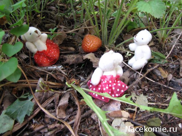 Annushka84 - Домик для медведей и кое-что еще