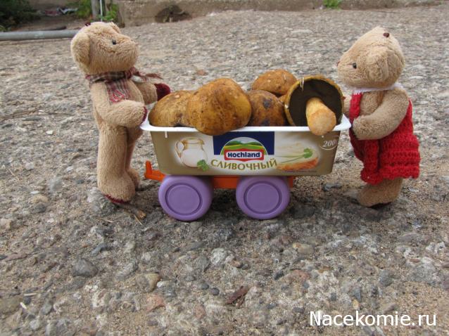 Annushka84 - Домик для медведей и кое-что еще