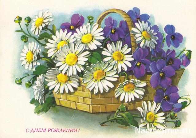 Наши Дни Рождения