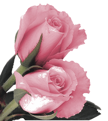 Наши Дни Рождения