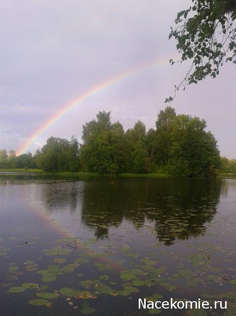 Annushka84 - Домик для медведей и кое-что еще