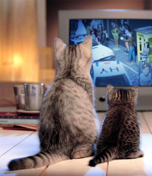 Дежурная Часть - Болталка форума Полицейские Машины Мира