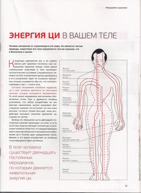 Фэн-Шуй для Счастья и Богатства - журнал (АиФ)