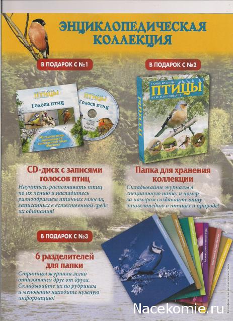 Самые красивые птицы и среда их обитания - Hachette Коллекция - тест