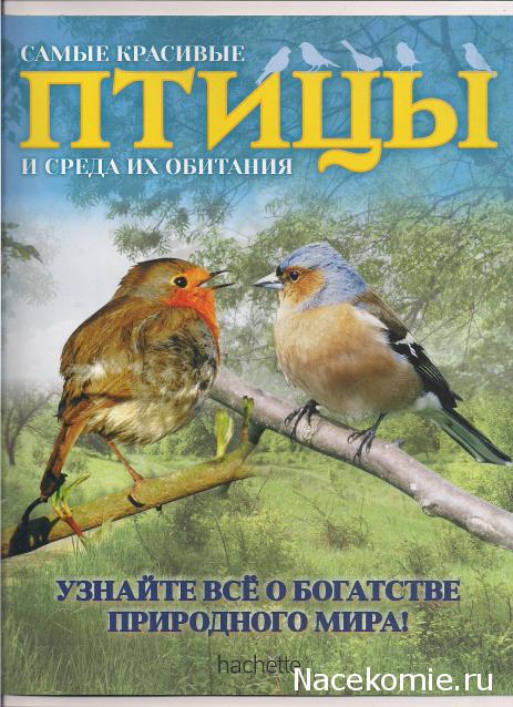 Самые красивые птицы и среда их обитания - Hachette Коллекция - тест