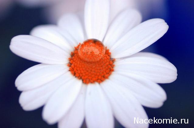 Rosinka07 - Домики бабушек