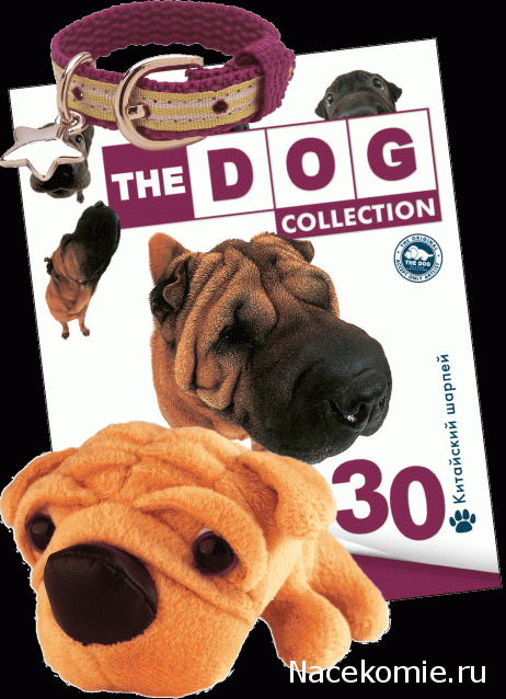 The Dog Collection 2015 - График Выхода и обсуждение