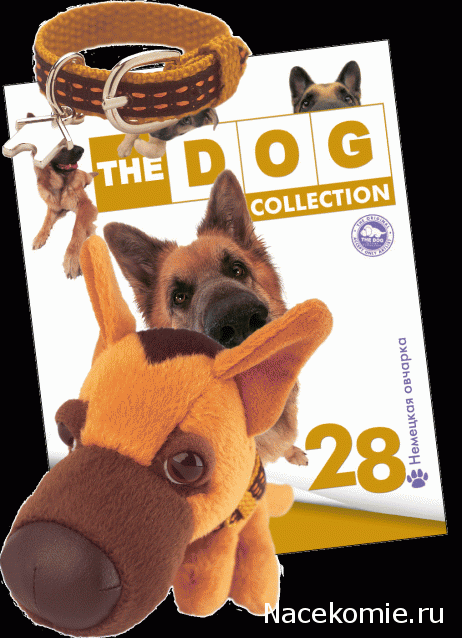 The Dog Collection 2015 - График Выхода и обсуждение