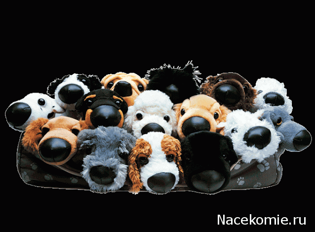 The Dog Collection 2015 - График Выхода и обсуждение