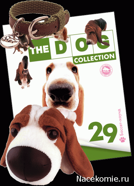 The Dog Collection 2015 - График Выхода и обсуждение