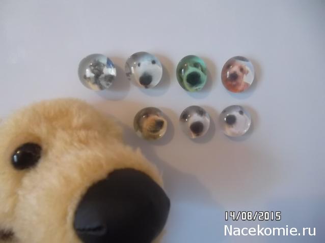 The Dog Collection 2015 - График Выхода и обсуждение