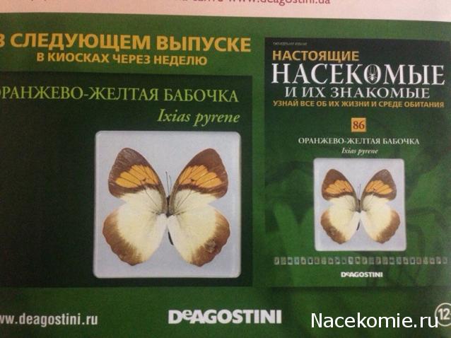 Насекомые и их знакомые 2014 - График Выхода и обсуждение