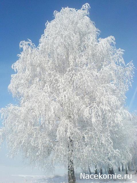 Куклы в Народных Костюмах – Розыгрыши, подарки, викторины, конкурсы