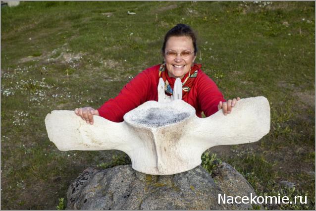 Куклы в народных костюмах №51 Кукла в чукотском зимнем костюме