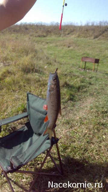 Matrena - Дом семьи де Монфор