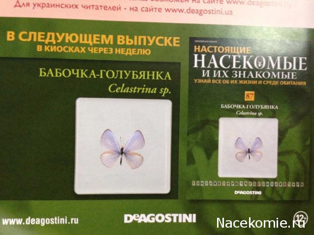 Насекомые и их знакомые 2014 - График Выхода и обсуждение
