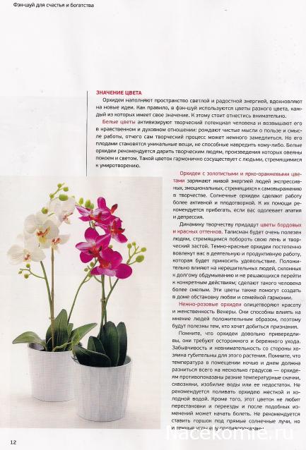 Фэн-Шуй для Счастья и Богатства - журнал (АиФ)