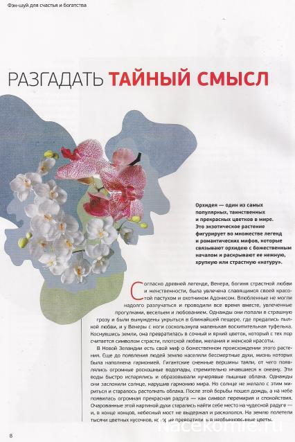 Фэн-Шуй для Счастья и Богатства - журнал (АиФ)